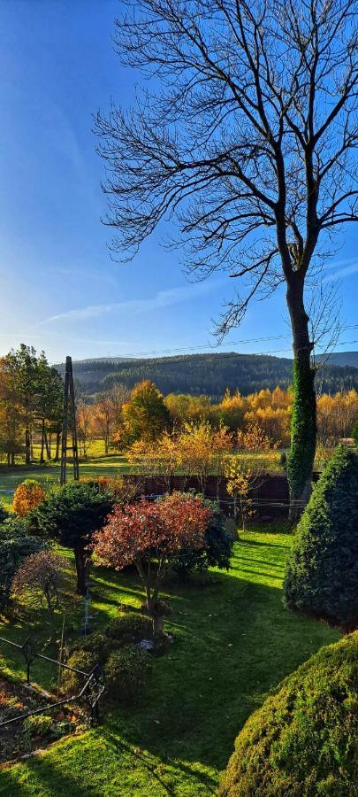 Apartment Dom Na Przedgorzu-apartamenty Z Widokiem Na Gory Swieradow-Zdroj