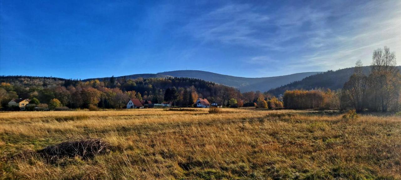 Apartment Dom Na Przedgorzu-apartamenty Z Widokiem Na Gory