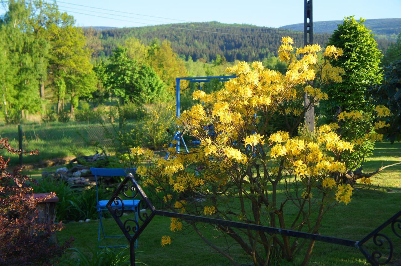 Dom Na Przedgorzu-apartamenty Z Widokiem Na Gory Swieradow-Zdroj